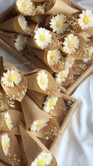 Daisy cone