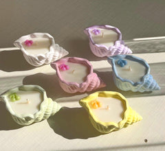 Sea shell