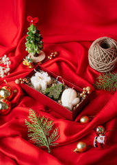 Christmas Cheer Box