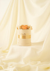 Cream & Coral