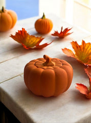 Pumpkin Pebble Pot