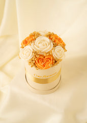 Cream & Coral
