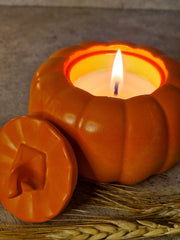 Pumpkin Pebble Pot